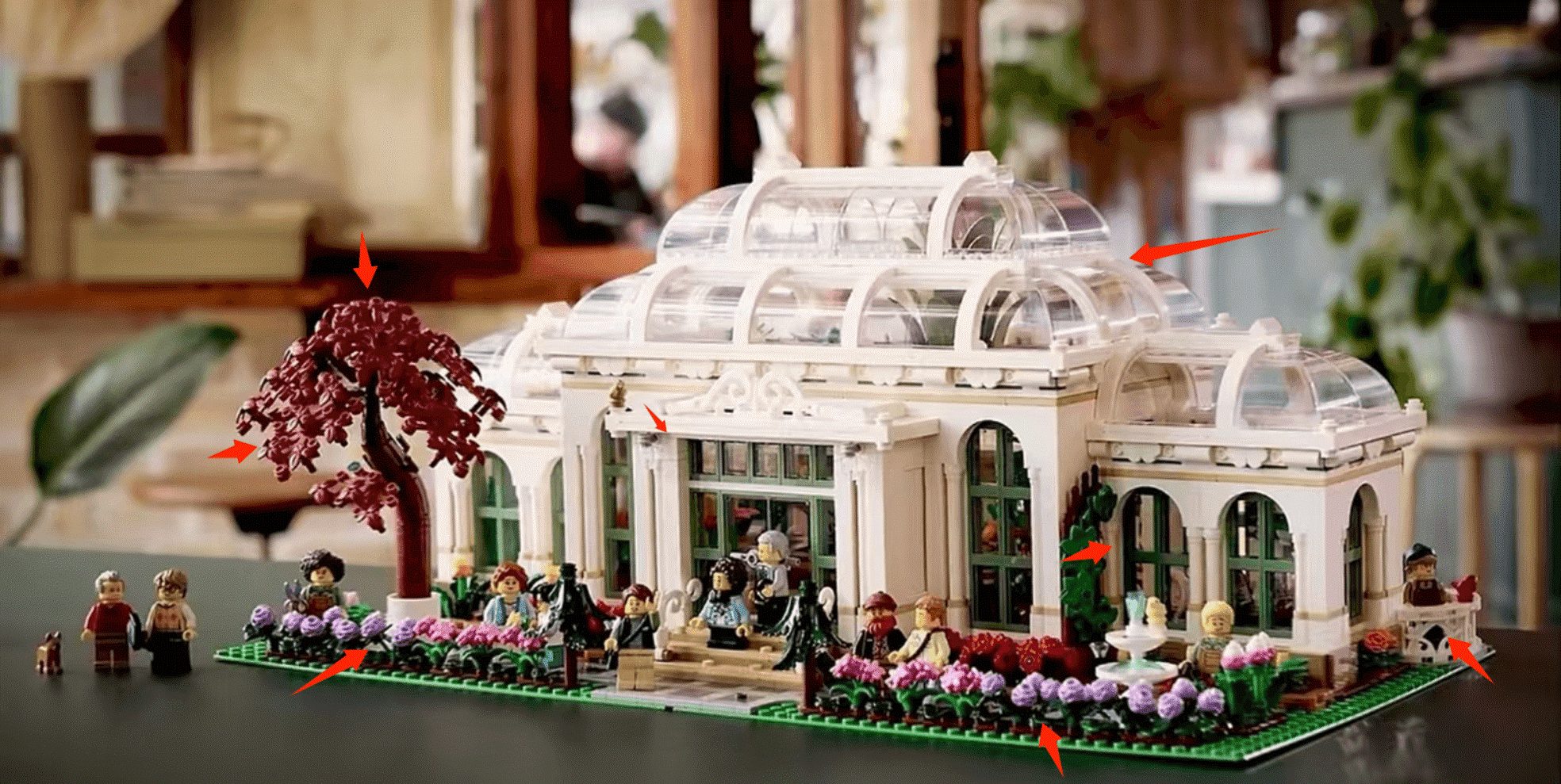 2024 Great New Set: LEGO IDEAS series 21353 botanical garden – ZENE