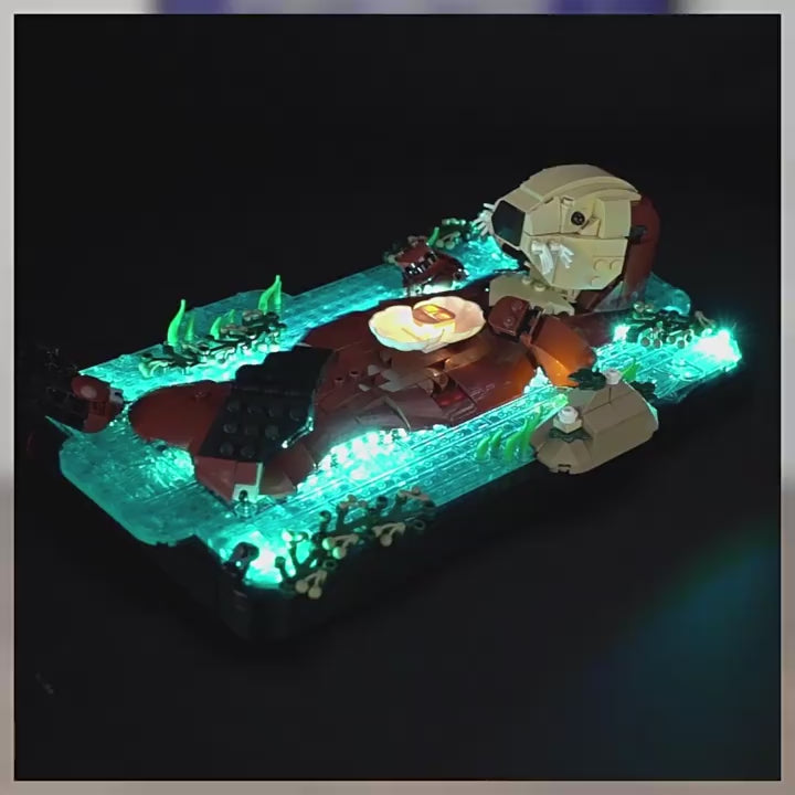 Light Kit for Floating Sea Otters #21366 – ZENE